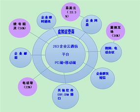 二六三 瞄準(zhǔn)未來，鑄就企業(yè)互聯(lián)網(wǎng)通信與信息服務(wù)王牌